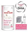 Royal Canin Babycat Milk 0-2 mrd. Mælkeerstatning til killinger. Incl. flaske kit. 300 g.